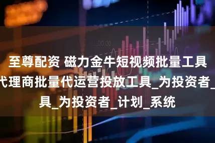 至尊配资 磁力金牛短视频批量工具 磁力金牛代理商批量代运营投放工具_为投资者_计划_系统