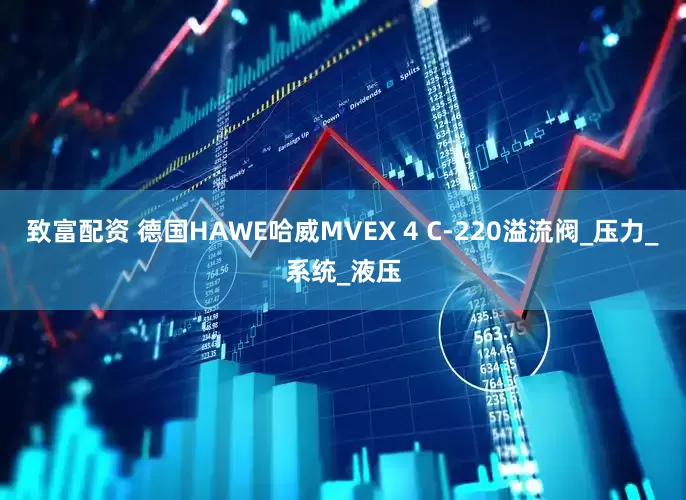 致富配资 德国HAWE哈威MVEX 4 C-220溢流阀_压力_系统_液压